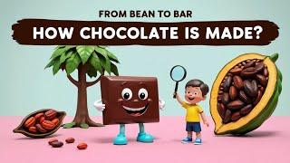 From Bean to Bar  | How Chocolate is Made | Fun Learning for Kids