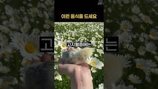 이런 음식을 드세요 #건강 #건강정보