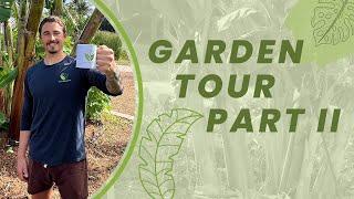 South Florida Exotic Fruit Garden Tour: Grow Inn Homes Headquarters   Part 2 [JUNE 2023]