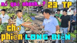 Nổ liên tiếp các TP Bonsai ngày mới chợ Cây Long Biên