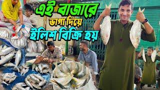 Hilsha fish at low Price || যে বাজারে কম দামে ভাগা দিয়ে ইলিশ মাছ বিক্রি হয় || Elish Fish || ilish |