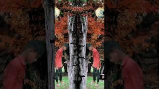Labbaik_ Ya_ Rahsulallah_ Special _video #trending #shortvideo #islamic #vfx#shorts