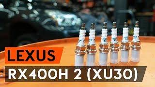 How to change spark plug on LEXUS RX400h 2 (XU30) [TUTORIAL AUTODOC]