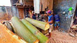 MULTIPLE PROFITS,,! The Best Way to Saw Randu Wood for Cor Board Materials