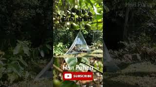 Solo Bushcraft Making Shelter from Plastic Simple #shorts