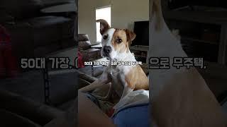 도쿄과장 월급500만원 받아도 생활이 빠듯한 이유!