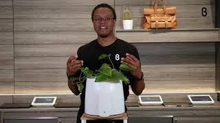 b8ta Unboxed featuring Natede by Vitesy