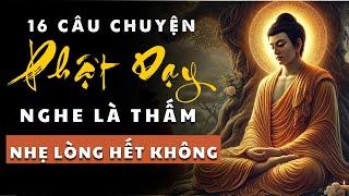 Hành Trình Giác Ngộ | 16 Câu Chuyện Phật Dạy Nghe Thấm Thía Từng Lời Nhẹ Lòng Bớt Khổ.