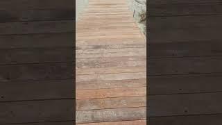 Are you familiar with Ipe? 310ft walkway will last forever and can span 24 inches if necessary.