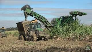 John Deere CH960 2024 Louisiana Cane Harvest