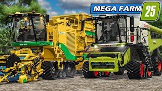 LS25 XXL Erntemaschinen im EINSATZ: Passt der ERTRAG?!  | Mega Farm #20 | Farming Simulator 25