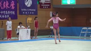 2017 TERUI Shizuki 照井梓月 Synchronized Floor Music