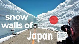 Giant snow wall in Japan 2021 - how to get there.