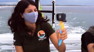 GEOTURISMO | Ilha dos Lobos e Guarita
