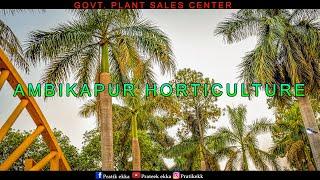 AMBIKAPUR HORTICULTURE | GOVT. PLANT SALES CENTER | AMBIKAPUR UDYAN CINEMATIC SHOT.....