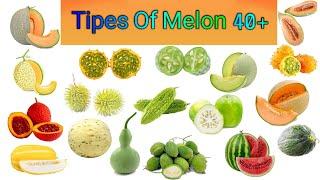 Tipes of Melon in the World / fruits name in english / gernel knowledge video by TFA