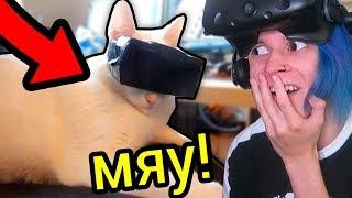 МОЙ КОТ ПЕРВЫЙ РАЗ ИГРАЕТ В ВИРТУАЛЬНОЙ РЕАЛЬНОСТИ!!! (CATIFY VR)