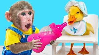 KiKi Monkey Take Care of Cute Duckling by Milk Bottle emotional | KUDO ANIMAL KIKI