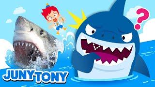 *NEW* Sharks, Assemble! | Fun Facts About Sharks | Animal Songs | Kids Songs & Stories | JunyTony