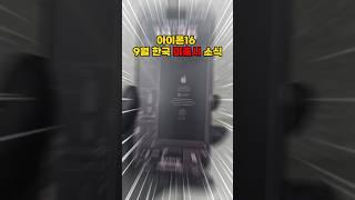 아이폰16 9월 한국 미출시?? #smartphone #아이폰