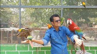 IBRAHIM BIRDS FARM TOUR||BY NAAN SARO #kollywood #birds #farmhouse #pudhukottai #trichyyoutuber