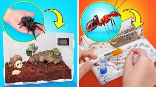 How to Build Perfect Ant Farm And Spider Terrarium At Home