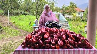 PRIPREMA ZA AJVAR- Pečemo paprike i patlidžan- Kišni dan ️