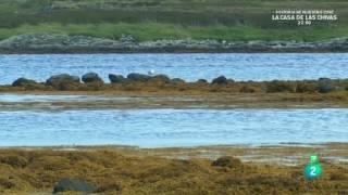 Grandes Documentales-Natura Atlantica Escocia Islas Feroes e Islandia