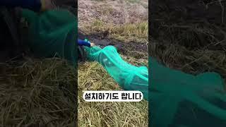 한국과 차원이 다른 베트남 농사 기술