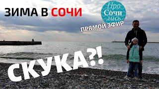 Зима на море. Погода в Сочи в декабре Скучно ли в Сочи зимой?! Новости Сочи 2019 ПроСОЧИлись