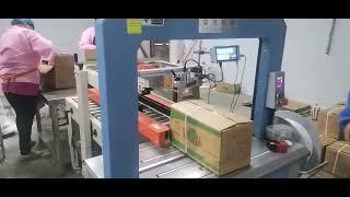 Automatic box sealing packaging machine | box packing machine | baling machine