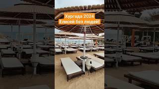 Elysees без людей - Отель, где АКУЛА СЪЕЛА ЧЕЛОВЕКА! ХУРГАДА 2025.#египет2025