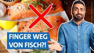 Diesen Fisch kann man noch guten Gewissens essen | Markt WDR