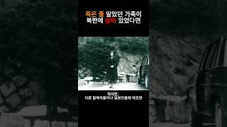죽은 줄 알았던 가족이 북한에 살아있다면