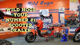 WILD HOGS SCOOTER! YOUR NUMBER ONE STORE SCOOTER DEALER!