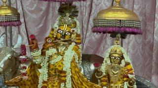 Shri Govind Dev Ji ki Gwal Jhanki श्री गोविन्द देव जी की ग्वाल आरती #19_June_2025 #thursday #love