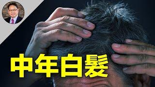 【四維健康】中年白头向我们警醒五大健康问题？哈佛大学研究解开了伍子胥一夜白头的生物学秘密？