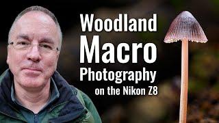 Woodland Macro Photography with the Nikon Z8 | Focus stacking with the Nikon 50mm Z macro lens