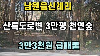 서귀포시 남원읍 신례리 산록도로변 3만평 천연숲 3만3천원 급매물 010 4436 0401 제주도부동산 토지 매매  급매물