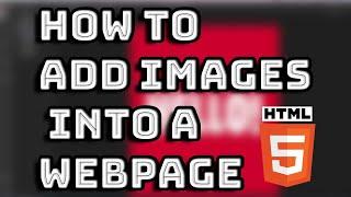 How to Add Images using HTML into a Webpage | Lesson 05 | HTML