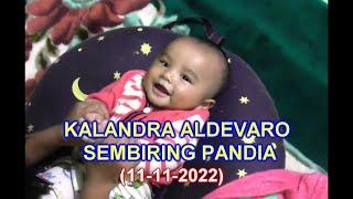 KALANDRA ALDEVARO SEMBIRING PANDIA