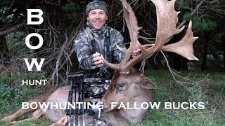 Bowhunt Fallow Bucks New Zealand