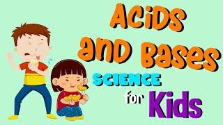 Acids and Bases | Science for Kids