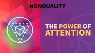 The power of attention | clip from the #nonduality podcast