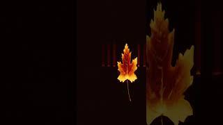 #shorts  Autumn Serenity: Tranquil Piano Music for Focus & Relaxation 