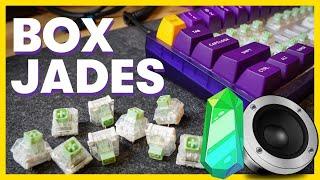 Kailh BOX JADE Sound Test & Review (SO DIFFERENT) // Stock vs Cherry MX Blue