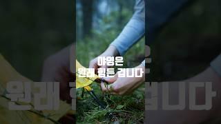 #CampWithJesus #더은혜교회