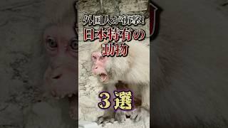 外国人が衝撃！日本特有の動物3選 #shorts #雑学