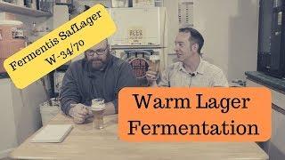 Warm Fermentation Lager Project - Brew Dudes