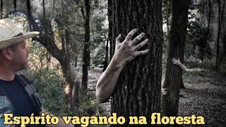 O espírito da moça está vagando na floresta.